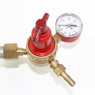 Hot Selling Pressure Regulator with High Quality